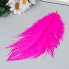 Перо страуса 200-250 мм, малиновый - Фото 2