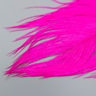Перо страуса 200-250 мм, малиновый - Фото 3