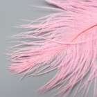 Перо страуса 200-250 мм, розовый - Фото 3