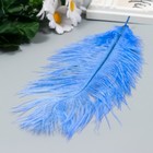 Перо страуса 200-250 мм, синий - Фото 2