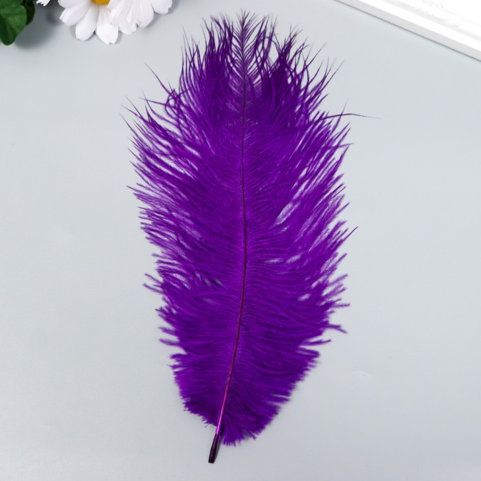 Перо страуса 200-250 мм, т.сиреневый - Фото 1