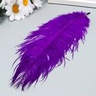 Перо страуса 200-250 мм, т.сиреневый - Фото 2