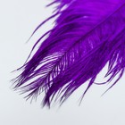 Перо страуса 200-250 мм, т.сиреневый - Фото 3