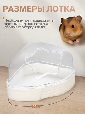 белый