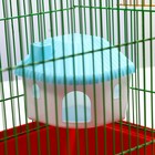 Домик для грызунов угловой, 11,4 х 10,7 х 10,7 см, голубой - Фото 4