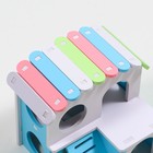 Домик для грызунов двухэтажный с лесенкой, 15,5 см, голубой - фото 21591559