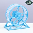 Колесо на подставке для грызунов, диаметр колеса 12,5 см, 14 х 3 х 9 см, голубое - фото 8683258