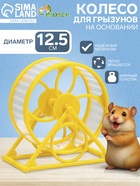 Колесо на подставке для грызунов, диаметр колеса 12.5 см, 14×3×9 см, жёлтое - Фото 1