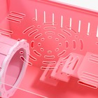 Клетка-переноска для грызунов,акриловая, розовая, 29 х 23,5 х 26 см - Фото 5