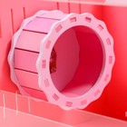 Клетка-переноска для грызунов,акриловая, розовая, 29 х 23,5 х 26 см - Фото 6