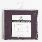 Комплект наволочек «Этель», 50×70 см, 2 шт., тёмно-серый, поплин, хлопок 100% 7789232