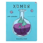 Тетрадь предметная Школа волшебства, 48 листов в клетку "Химия" со справочным материалом, блок 60 г/м2, тиснение фольгой 7801150 - фото 9733906