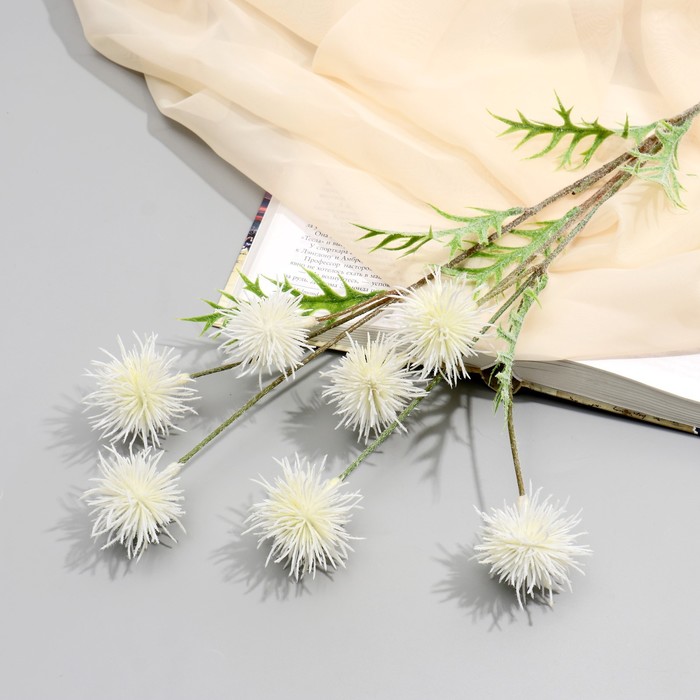 Цветы искусственные Мордовник шароголовый 70 см, белый