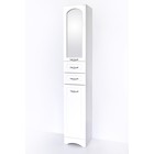 Пенал "Пинта 300-2" 29,2 см х 30 см х 190 см со стеклом 7842536 - фото 319926650