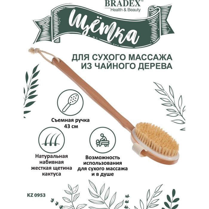 Щётка для сухого массажа Bradex из чайного дерева с щетиной кактуса со съемной ручкой, 43 см