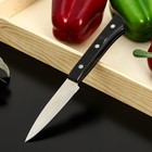 Нож кухонный «Сакура», для овощей, лезвие 9 см - фото 321337822