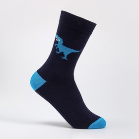 Носки для мальчика, цвет тёмно-синий, размер 18