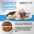 Сухой корм для кошек Perfect Fit для здоровой кожи и шерсти, индейка, 650 г 7865038 - фото 51486