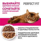 Влажный корм Perfect Fit для кошек, говядина, пауч,  75 г - Фото 5