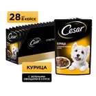 Влажный корм Cesar для собак, курица/зеленые овощами, пауч,  85 г 7865048 - фото 13515824