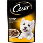 Влажный корм Cesar для собак, курица/зеленые овощами, пауч,  85 г 7865048 - фото 13515831
