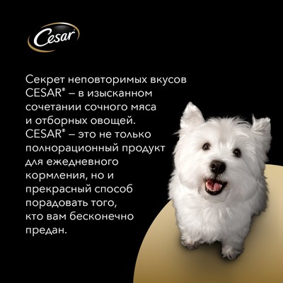 Влажный корм Cesar для собак, телятина/овощи, пауч, 85 г