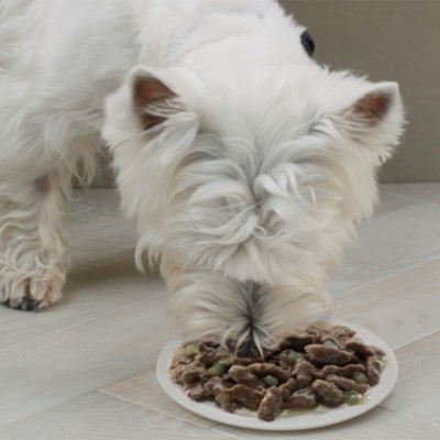 Влажный корм Cesar для собак, телятина/овощи, пауч, 85 г