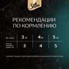 Влажный корм Sheba Craft для кошек, говядина, соус, пауч,  75 г 7865050 - фото 1571245