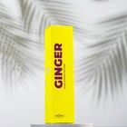 Диффузор ароматический "GINGER", имбирь и лайм,100 мл - фото 21593705