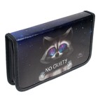 Пенал школьный, 1 секция, 11.5×20.5×3 см «Енот» - Фото 3