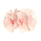 Кольцо для салфеток «Розовая сакура» - фото 41175285