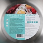 Сковорода Катунь «Общепит», d=20 см, толщина корпуса 0.6 мм, дно 3.5 мм, капсульное дно, индукция, нержавеющая сталь - Фото 6