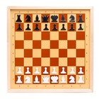 Шахматы и шашки демонстрационные магнитные (мини) - Фото 1