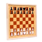 Шахматы и шашки демонстрационные магнитные (мини) - Фото 2