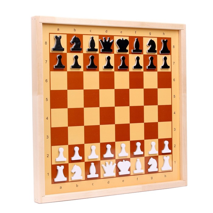Шахматы и шашки демонстрационные магнитные (мини) - фото 1885378253