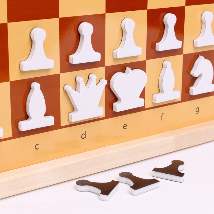 Шахматы и шашки демонстрационные магнитные (мини) - фото 1885378254