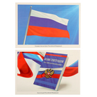 Наглядно-дидактическое пособие в папке «Государственные символы Российской Федерации», Минишева Т. 7907232