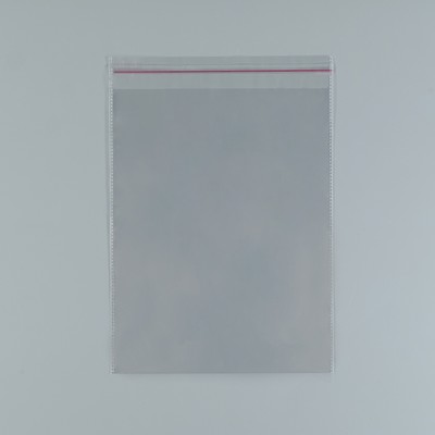 Пакет БОПП с клеевым клапаном 20×26/4 см, 20 мкм