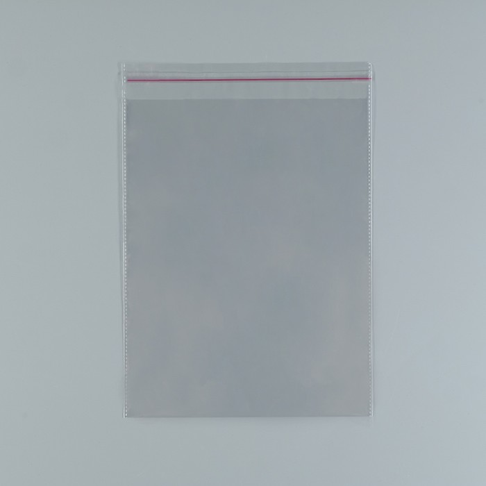 Пакет БОПП с клеевым клапаном 20×26/4 см, 20 мкм - Фото 1