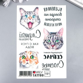 Татуировка на тело "Котики" 10х15 см 7904391