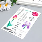 Татуировка на тело "Тюльпаны" 10х15 см 7904392