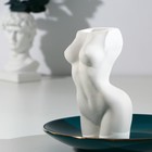 Подставка для зубочисток «Женское тело», белая - фото 6604763