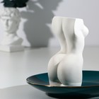 Подставка для зубочисток «Женское тело», белая - фото 6604764