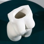 Подставка для зубочисток «Женское тело», белая - фото 6604765