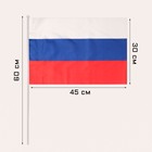 Флаг России, 30 х 45 см, шток 60 см, полиэфирный шёлк - фото 318885562