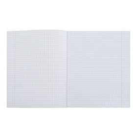 

Тетрадь 96 листов в клетку "Экспрессия", обложка мелованный картон, неоновые краски, блок офсет, МИКС