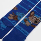 Колготки PAW PATROL "Гончик", синий, 86-92 см 7143514