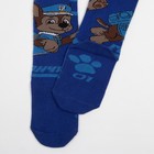 Колготки PAW PATROL "Гончик", синий, 86-92 см 7143514