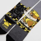 Колготки PAW PATROL "Крепыш", серый, 86-92 см (комплект 5 шт) - фото 27414922