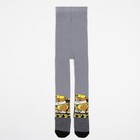 Колготки PAW PATROL "Крепыш", серый, 86-92 см (комплект 5 шт) - фото 27414923